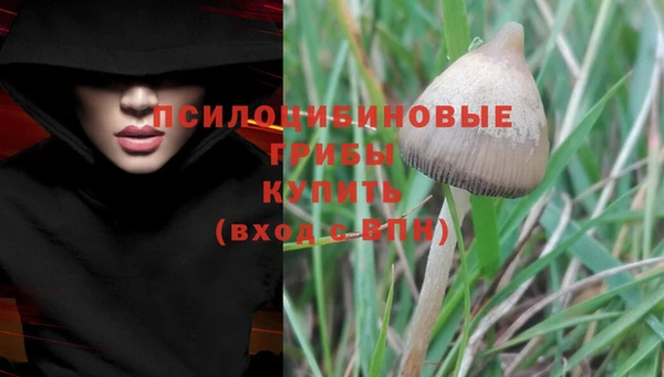 PSILOCYBIN Лихославль