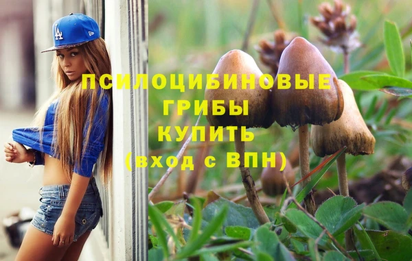 твердый Липки