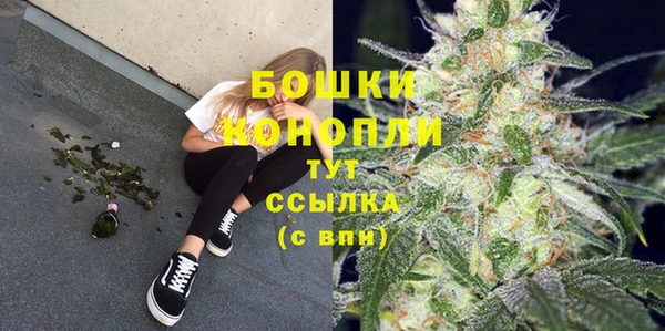 PSILOCYBIN Лихославль